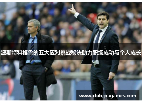 波斯特科格鲁的五大应对挑战秘诀助力职场成功与个人成长