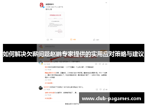 如何解决欠薪问题赵鹏专家提供的实用应对策略与建议