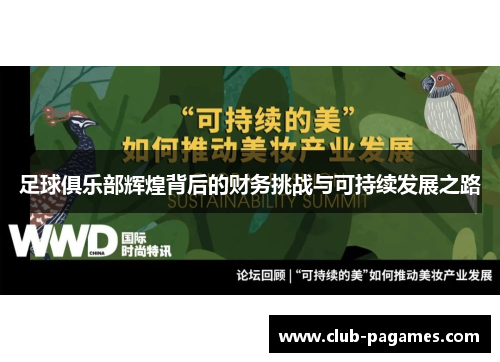 足球俱乐部辉煌背后的财务挑战与可持续发展之路